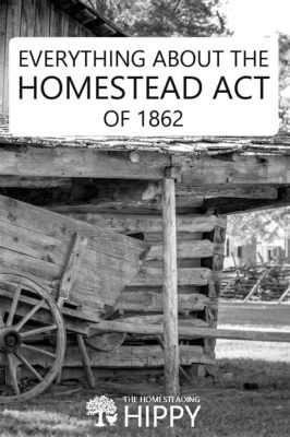 The Homestead Act:  Opening Up the American West and Shaping a Nation Through Land Grants